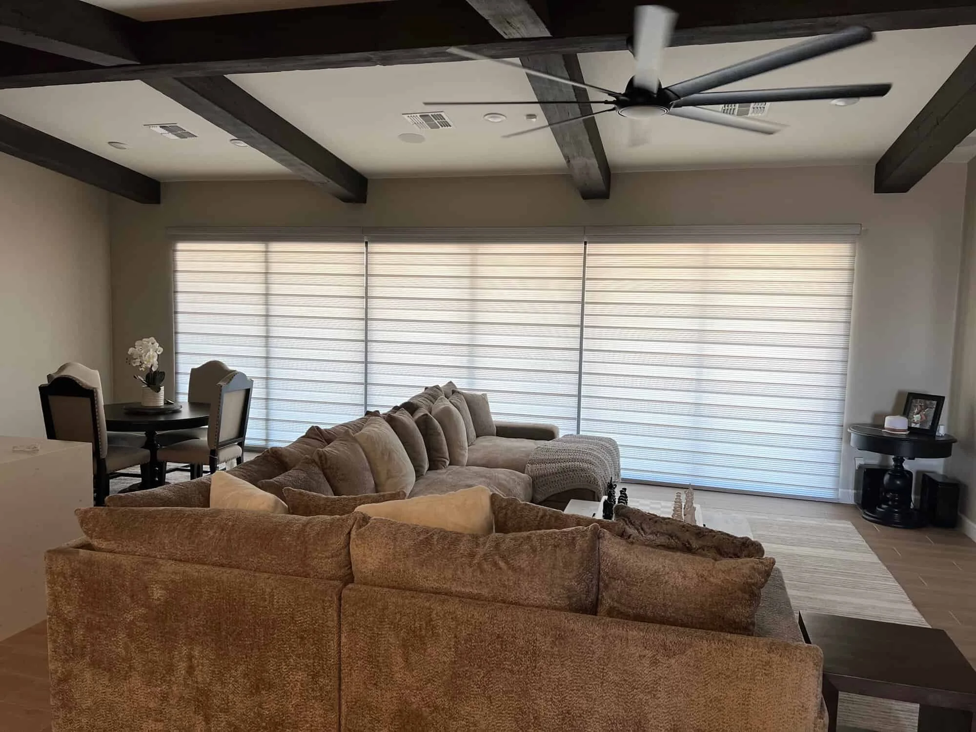 Zebra shades in a bright living room